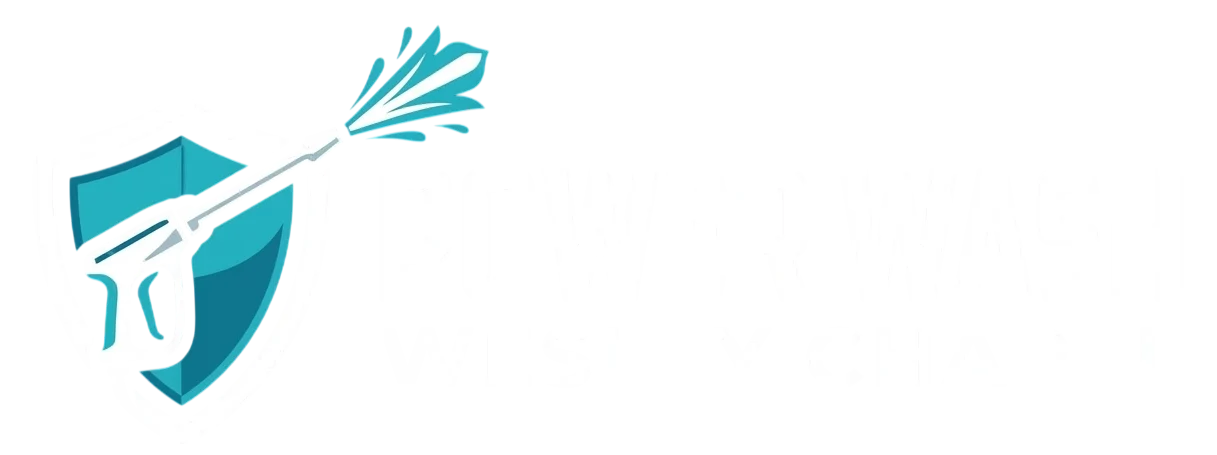 pressurewashingwesleychapel.com