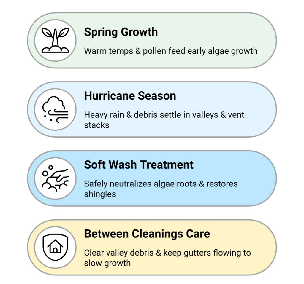 Infographic explaining weather impact and soft wash treatment steps